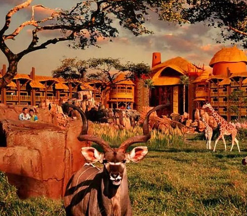 AnimalKingdomLodge